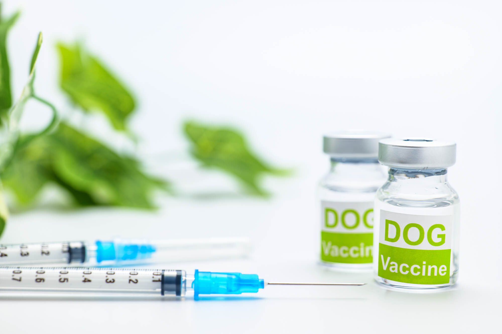 ワクチンが感染症を予防する仕組み
